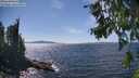 ./images/koeye/fitz-hugh/20260808/fitz-hugh20260808_145501M.jpg