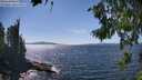 ./images/koeye/fitz-hugh/20260808/fitz-hugh20260808_150001M.jpg