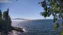 ./images/koeye/fitz-hugh/20260808/fitz-hugh20260808_150501M.jpg