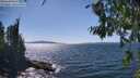 ./images/koeye/fitz-hugh/20260808/fitz-hugh20260808_151001M.jpg