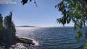 ./images/koeye/fitz-hugh/20260808/fitz-hugh20260808_151501M.jpg