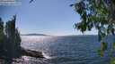 ./images/koeye/fitz-hugh/20260808/fitz-hugh20260808_152002M.jpg