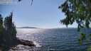 ./images/koeye/fitz-hugh/20260808/fitz-hugh20260808_152501M.jpg