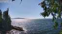 ./images/koeye/fitz-hugh/20260808/fitz-hugh20260808_153001M.jpg