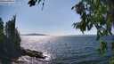 ./images/koeye/fitz-hugh/20260808/fitz-hugh20260808_153501M.jpg