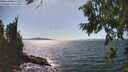 ./images/koeye/fitz-hugh/20260808/fitz-hugh20260808_154001M.jpg