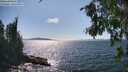 ./images/koeye/fitz-hugh/20260808/fitz-hugh20260808_155001M.jpg