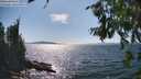./images/koeye/fitz-hugh/20260808/fitz-hugh20260808_155501M.jpg