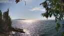 ./images/koeye/fitz-hugh/20260808/fitz-hugh20260808_162501M.jpg