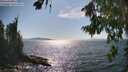 ./images/koeye/fitz-hugh/20260808/fitz-hugh20260808_163001M.jpg