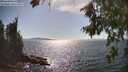 ./images/koeye/fitz-hugh/20260808/fitz-hugh20260808_163501M.jpg