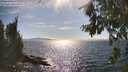 ./images/koeye/fitz-hugh/20260808/fitz-hugh20260808_165001M.jpg