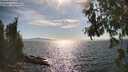 ./images/koeye/fitz-hugh/20260808/fitz-hugh20260808_165502M.jpg