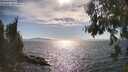 ./images/koeye/fitz-hugh/20260808/fitz-hugh20260808_170001M.jpg