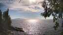 ./images/koeye/fitz-hugh/20260808/fitz-hugh20260808_170501M.jpg