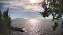 ./images/koeye/fitz-hugh/20260808/fitz-hugh20260808_171001M.jpg