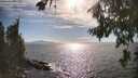 ./images/koeye/fitz-hugh/20260808/fitz-hugh20260808_171501M.jpg