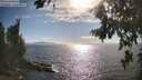 ./images/koeye/fitz-hugh/20260808/fitz-hugh20260808_173001M.jpg