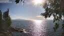 ./images/koeye/fitz-hugh/20260808/fitz-hugh20260808_174001M.jpg