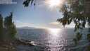 ./images/koeye/fitz-hugh/20260808/fitz-hugh20260808_174501M.jpg