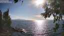 ./images/koeye/fitz-hugh/20260808/fitz-hugh20260808_175001M.jpg