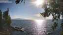 ./images/koeye/fitz-hugh/20260808/fitz-hugh20260808_175501M.jpg