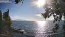 ./images/koeye/fitz-hugh/20260808/fitz-hugh20260808_180001M.jpg
