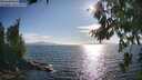 ./images/koeye/fitz-hugh/20260808/fitz-hugh20260808_181001M.jpg