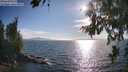 ./images/koeye/fitz-hugh/20260808/fitz-hugh20260808_181501M.jpg