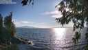 ./images/koeye/fitz-hugh/20260808/fitz-hugh20260808_182002M.jpg