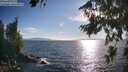 ./images/koeye/fitz-hugh/20260808/fitz-hugh20260808_183002M.jpg