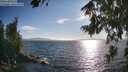 ./images/koeye/fitz-hugh/20260808/fitz-hugh20260808_183501M.jpg