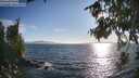 ./images/koeye/fitz-hugh/20260808/fitz-hugh20260808_185001M.jpg