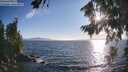 ./images/koeye/fitz-hugh/20260808/fitz-hugh20260808_191001M.jpg