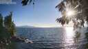 ./images/koeye/fitz-hugh/20260808/fitz-hugh20260808_192001M.jpg