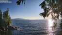 ./images/koeye/fitz-hugh/20260808/fitz-hugh20260808_193501M.jpg