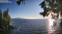 ./images/koeye/fitz-hugh/20260808/fitz-hugh20260808_194001M.jpg
