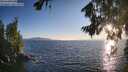 ./images/koeye/fitz-hugh/20260808/fitz-hugh20260808_195501M.jpg