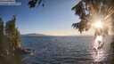 ./images/koeye/fitz-hugh/20260808/fitz-hugh20260808_200002M.jpg