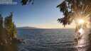 ./images/koeye/fitz-hugh/20260808/fitz-hugh20260808_201501M.jpg