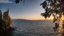 ./images/koeye/fitz-hugh/20260808/fitz-hugh20260808_205001M.jpg