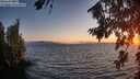 ./images/koeye/fitz-hugh/20260808/fitz-hugh20260808_210001M.jpg