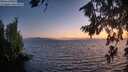 ./images/koeye/fitz-hugh/20260808/fitz-hugh20260808_213002M.jpg