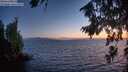 ./images/koeye/fitz-hugh/20260808/fitz-hugh20260808_214001M.jpg