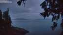 ./images/koeye/fitz-hugh/20260809/fitz-hugh20260809_053501M.jpg