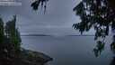 ./images/koeye/fitz-hugh/20260809/fitz-hugh20260809_054501M.jpg