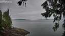 ./images/koeye/fitz-hugh/20260809/fitz-hugh20260809_061501M.jpg
