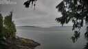 ./images/koeye/fitz-hugh/20260809/fitz-hugh20260809_062001M.jpg