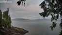 ./images/koeye/fitz-hugh/20260809/fitz-hugh20260809_062501M.jpg