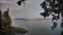 ./images/koeye/fitz-hugh/20260809/fitz-hugh20260809_065001M.jpg